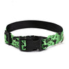 Spooktacular Halloween pet collar