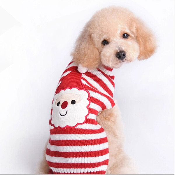 Pet Wiggles Accessories Elf / Small Merry Paws Outfit