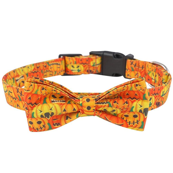 Pet Wiggles Accessories Orange / Small - 30-40cm Halloween Dog Collar