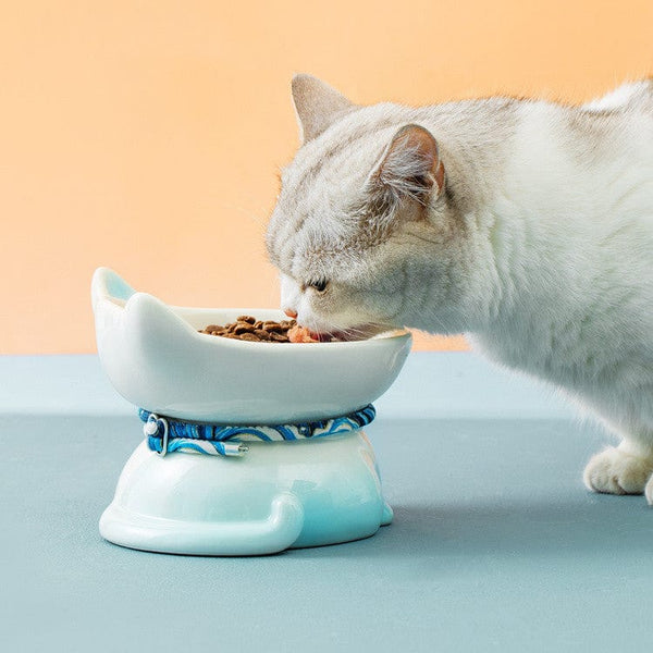 Pet Wiggles Bowls Blue Ceramic Protection Cat Food Bowl