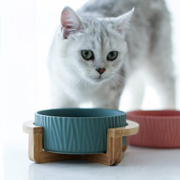 Pet Wiggles Bowls Cat Food Bowl