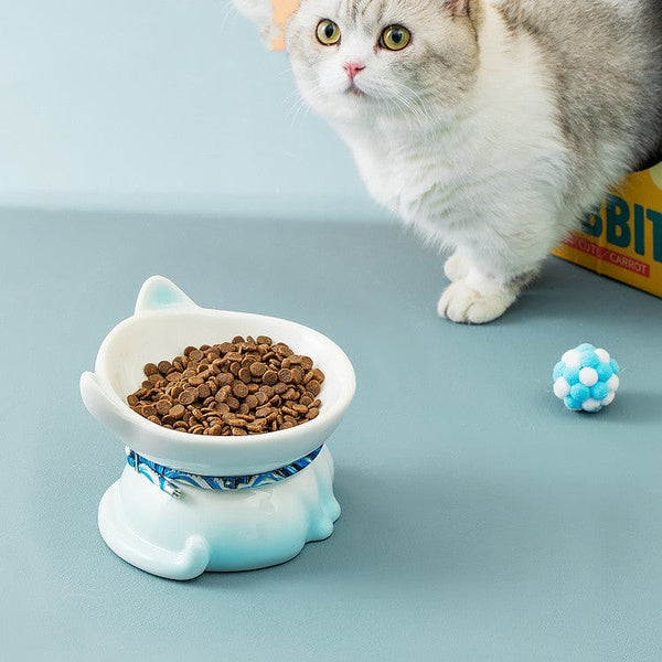 Pet Wiggles Bowls Ceramic Protection Cat Food Bowl