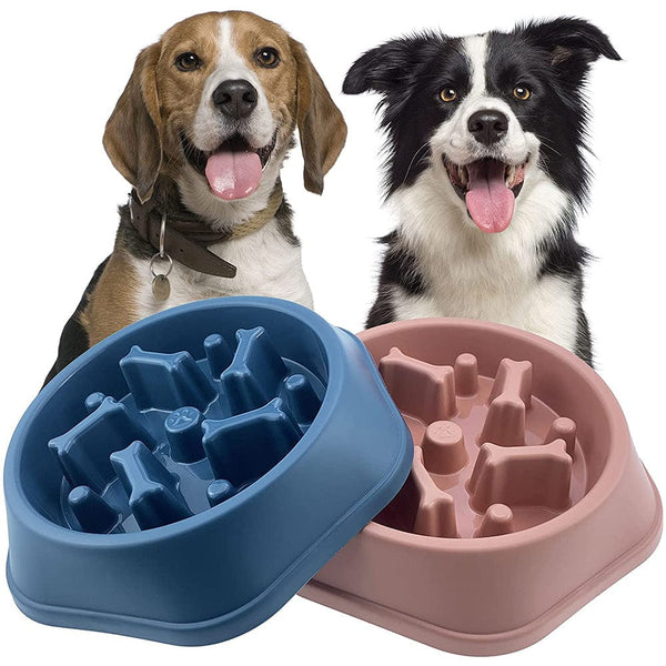 Pet Wiggles Bowls Slow Feeding Bowl