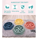 Pet Wiggles Bowls Slow Feeding Bowl