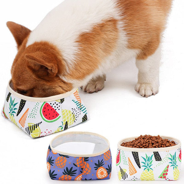 Pet Wiggles Bowls Waterproof and Washable Bowl