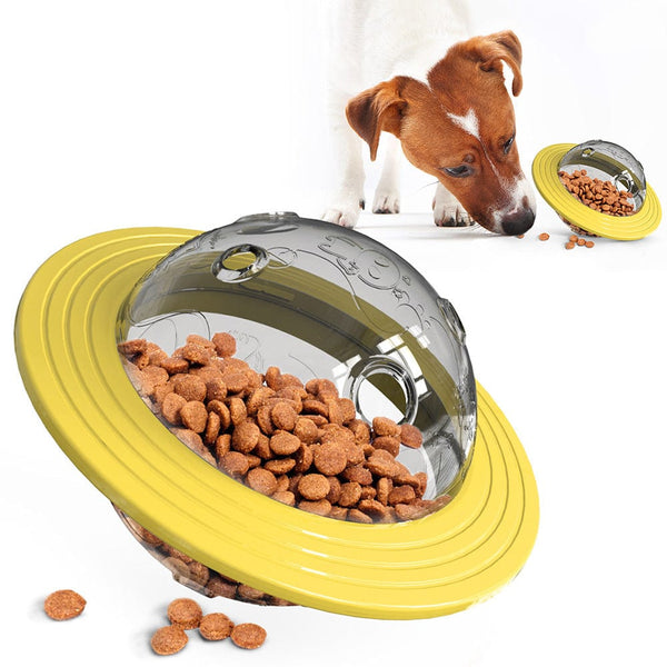 Pet Wiggles Bowls Yellow Missing Food Educational Bowl