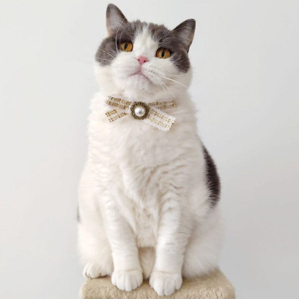 Pet Wiggles Cat Collars Cat Bow Tie