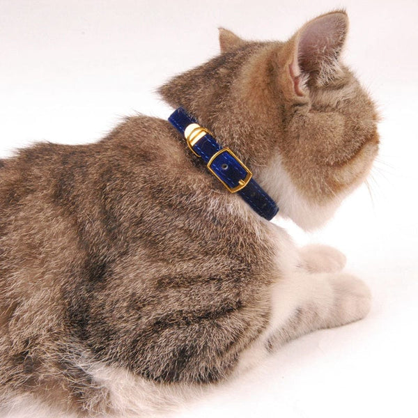 Pet Wiggles Cat Collars Suede Cat Collar