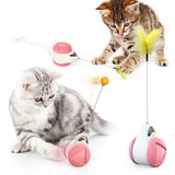 Pet Wiggles Cat Toys Pink Swinging Cat Toy