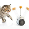 Swinging Cat Toy