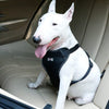 SafeTrip Dog Harness Seatbelt