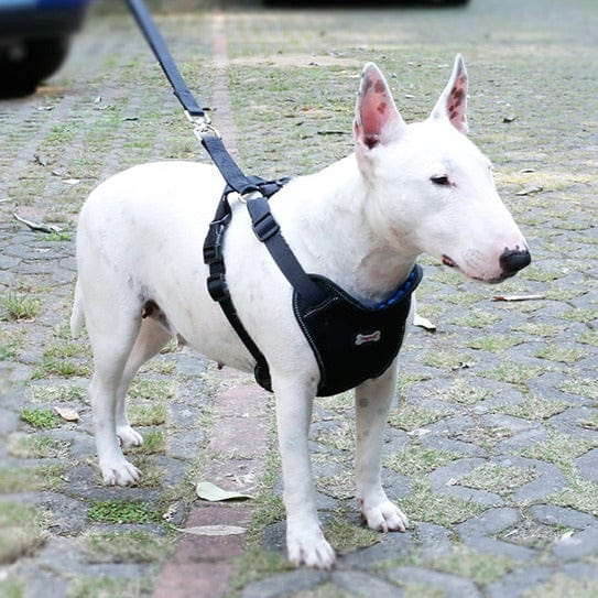 Pet Wiggles Dog Accessories SafeTrip Dog Harness Seatbelt