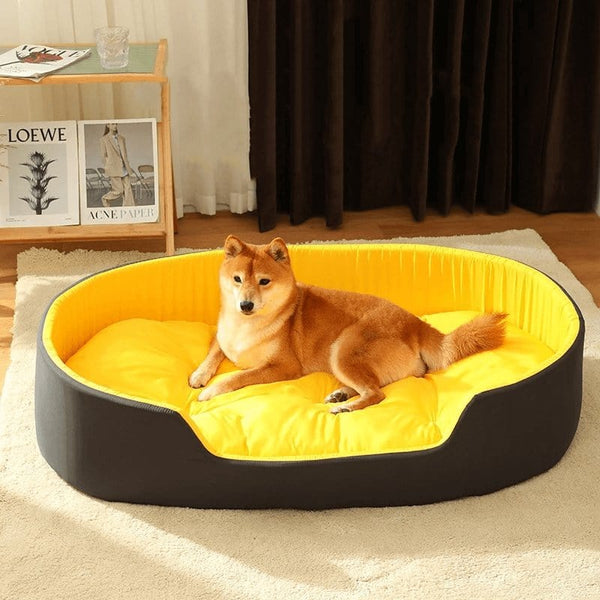 Pet Wiggles Dog Beds Yellow / 30x40cm The Colourful Dog Bed