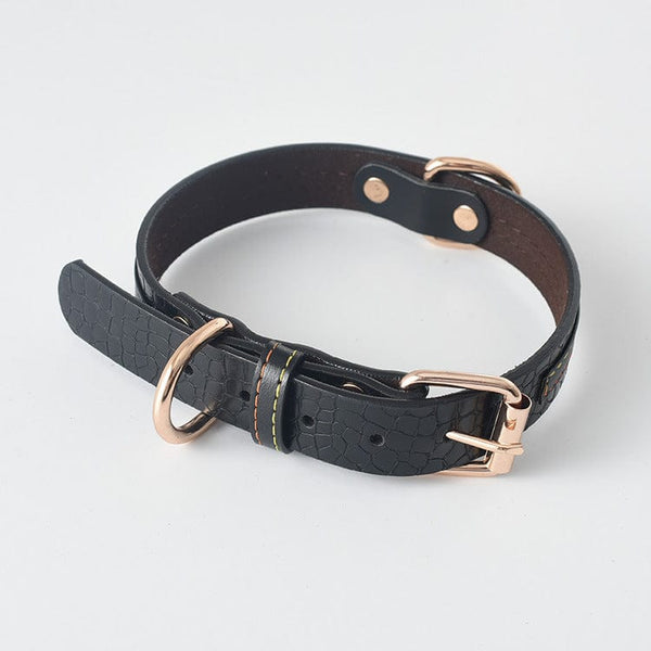 Pet Wiggles Dog Collars Black / 48x2cm Dog Leather Collar