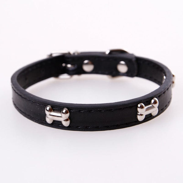 Pet Wiggles Dog Collars Black / S Leather Bone Colourful Collar