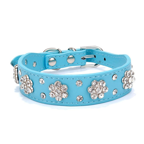Pet Wiggles Dog Collars Blue / Extra Small Rhinestone Pet Collar