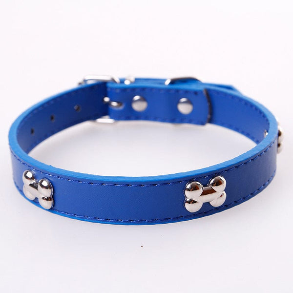 Pet Wiggles Dog Collars Blue / S Leather Bone Colourful Collar
