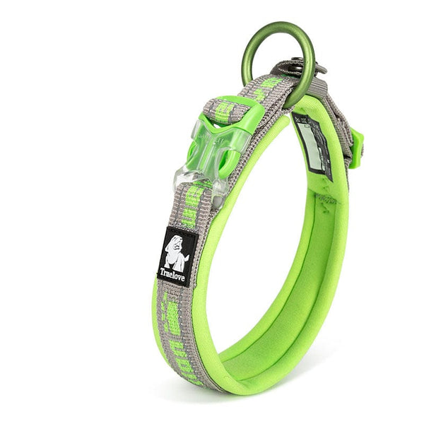 Pet Wiggles Dog Collars Green / XXS Dog Training Collar