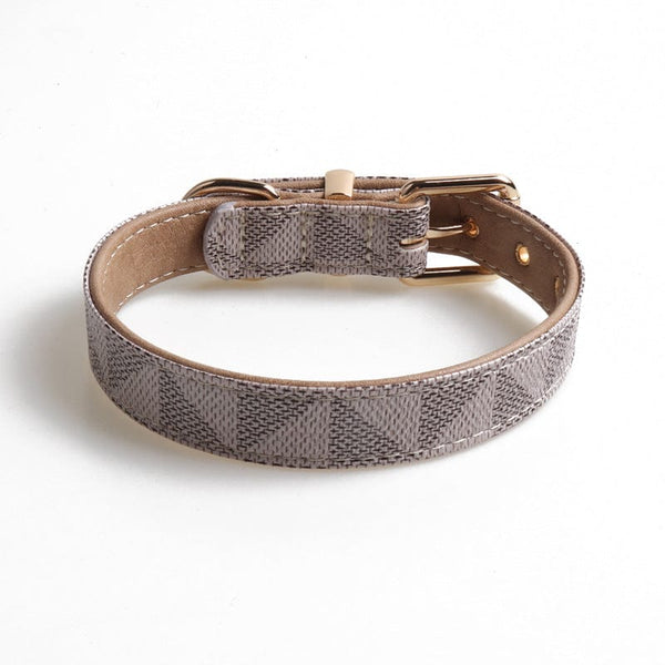 Pet Wiggles Dog Collars Grey / 1.5x30cm SecureFit Belt Collar