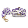 Polka Dot Collar & Lead