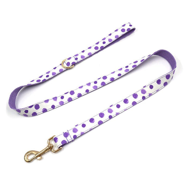 Pet Wiggles Dog Collars Polka Dot Collar & Lead