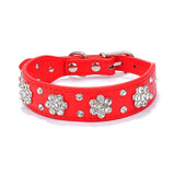 Pet Wiggles Dog Collars Red / Extra Small Rhinestone Pet Collar
