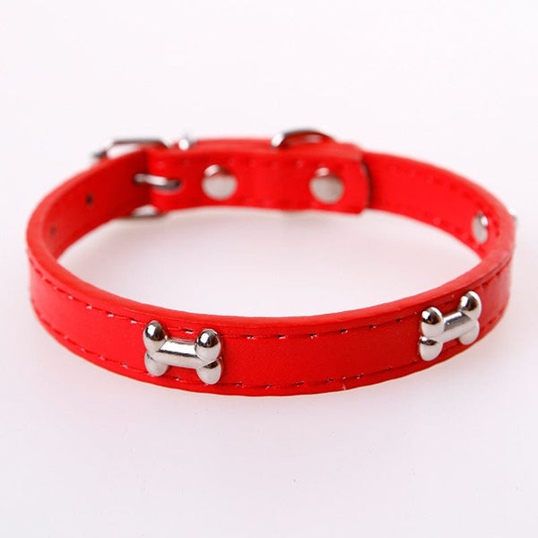 Pet Wiggles Dog Collars Red / S Leather Bone Colourful Collar