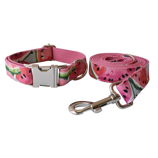 Pet Wiggles Dog Collars Small Watermelon Collar & Lead