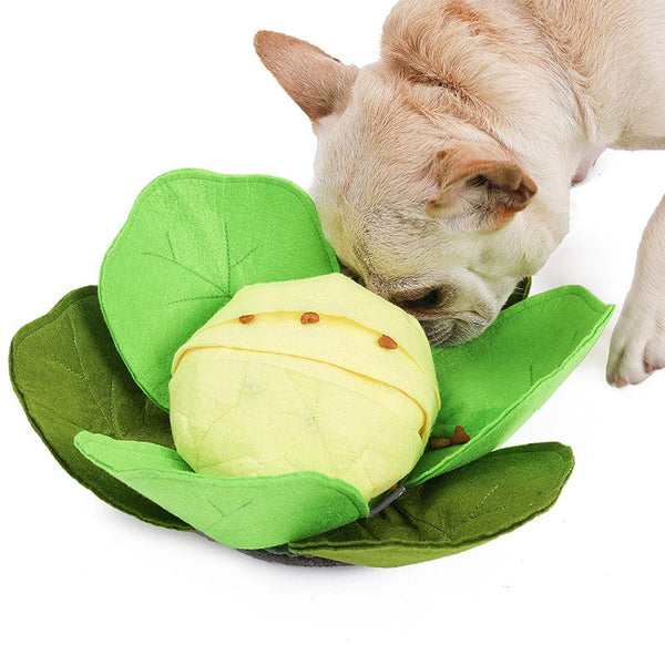 Pet Wiggles Dog Toys Dog Cabbage Puzzle