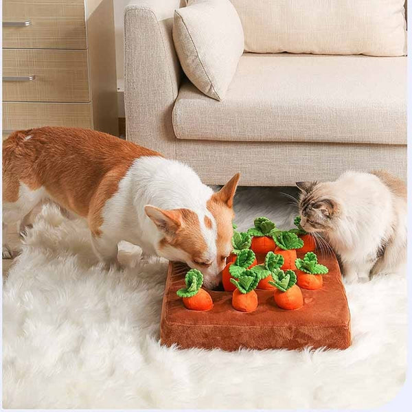 Pet Wiggles Dog Toys Sniff 'n' Find Carrot Farm Toy